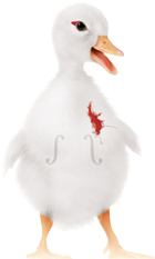 icone Canard Estivales Musicales